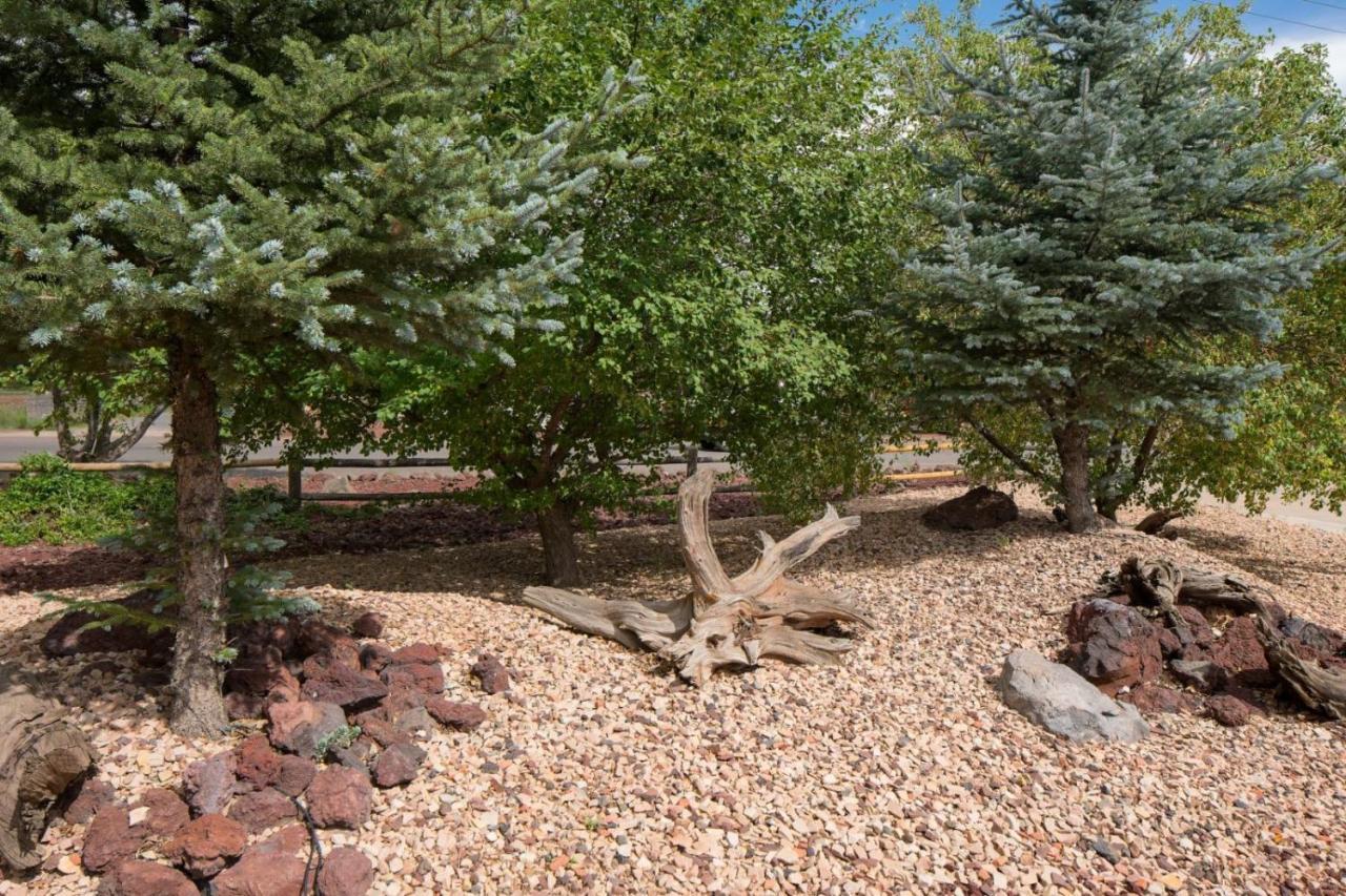 ويليامز Quarter Horse Inn & Lodge المظهر الخارجي الصورة